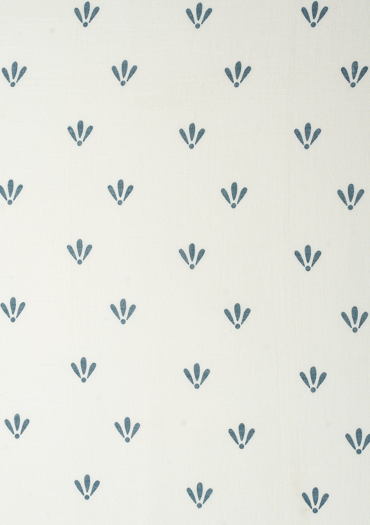 Aniseed printed sheer Fabric - Indigo