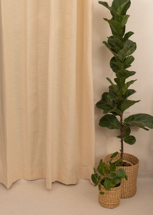 Solid cotton Fabric - Cream