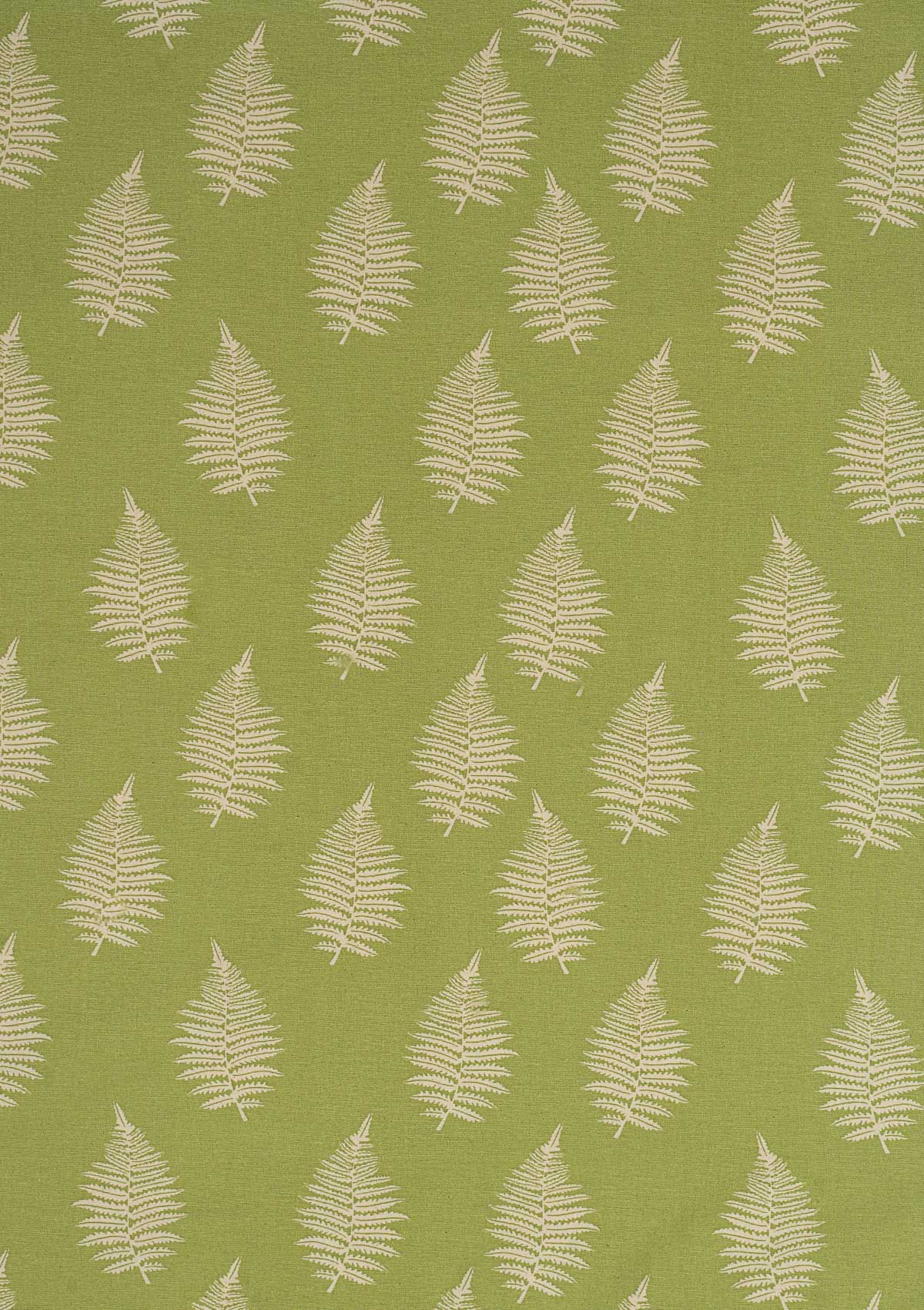Ferns printed cotton Fabric - Green
