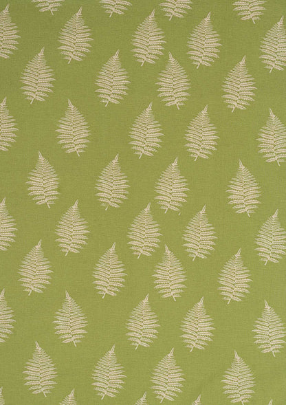 Ferns printed cotton Fabric - Green